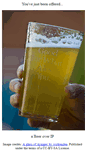 Mobile Screenshot of beeroverip.org